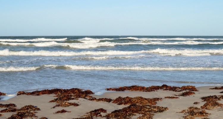 Rørvig beach in fall