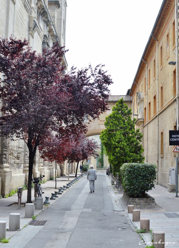 Street in Avignon | The Copenhagen Tales